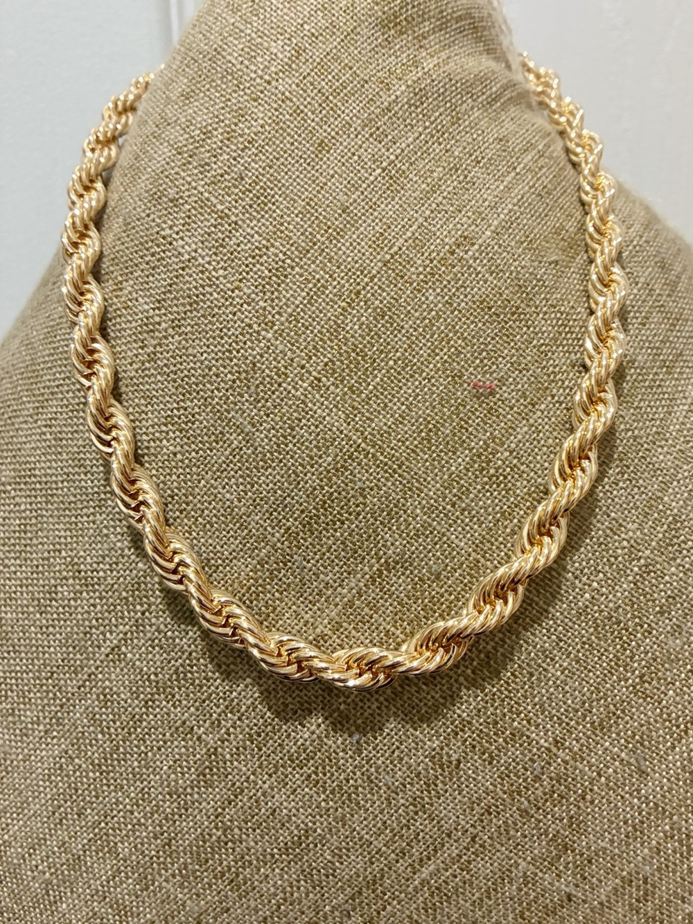 [ nwot ] Bold Goldtone Rope Chain Necklace